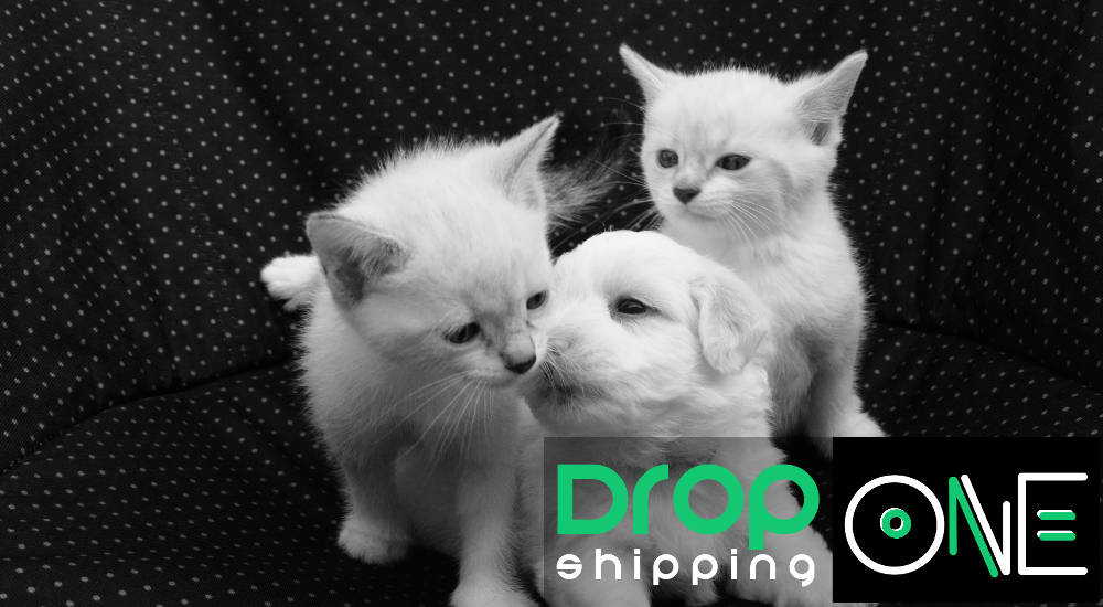 essential pet products dropshippers