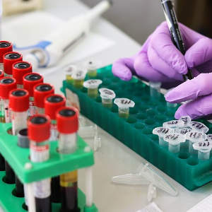 Attrezzature mediche / di laboratorio
