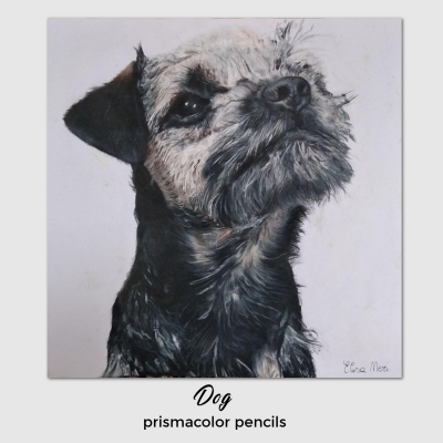 Dog-prismacolor-Elisa-Neri.jpg