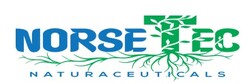 norsetec
